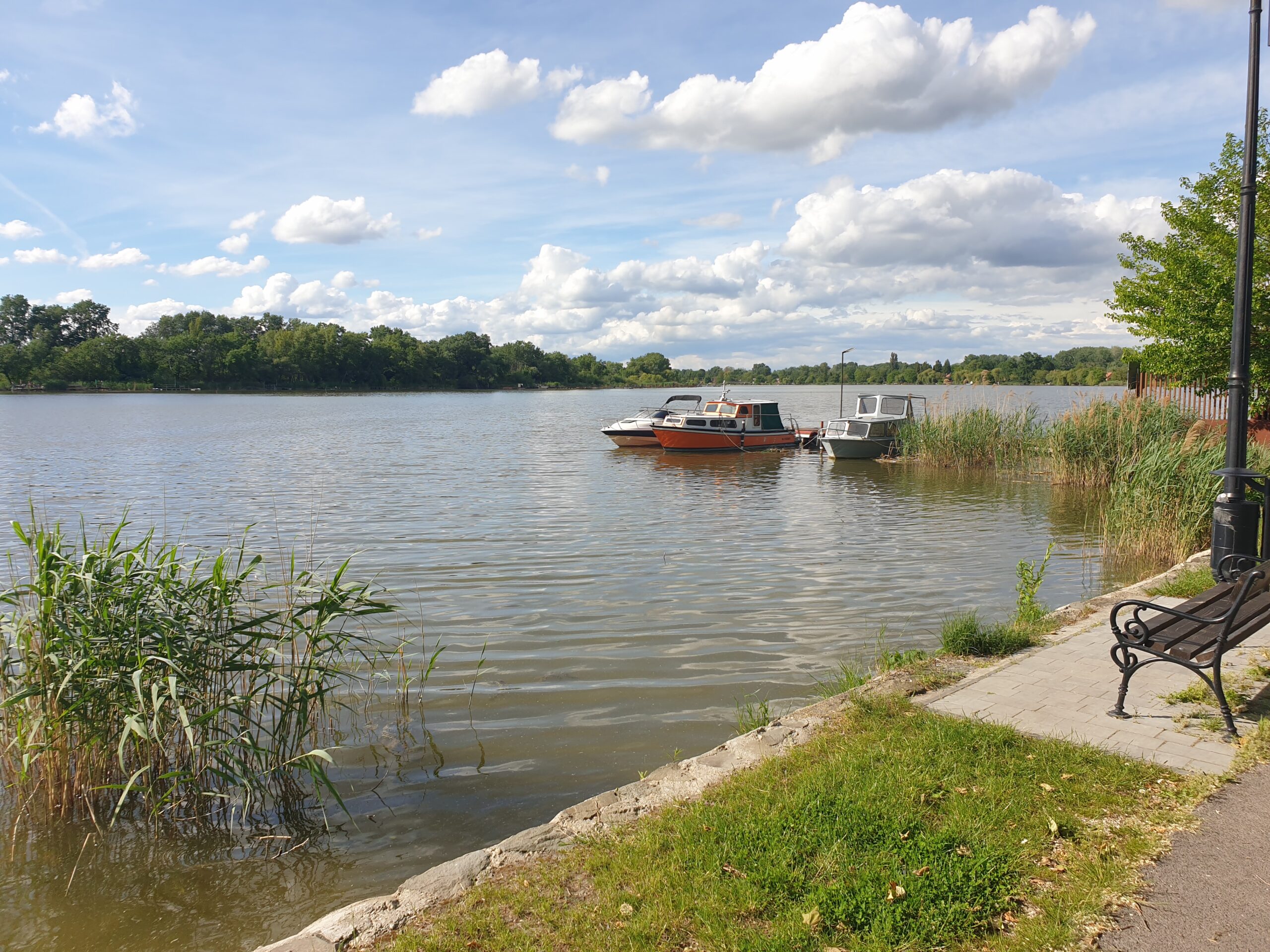 KÖZVETLEN VÍZPARTI ZÁLLÁSHELY DÖMSÖD
