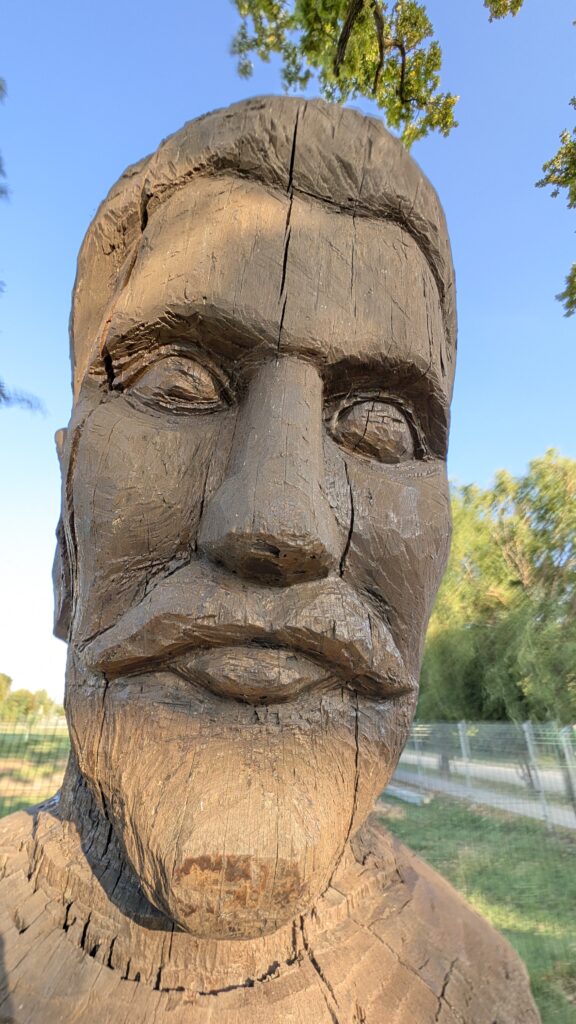 Petőfi fa és szobor Dömsödön