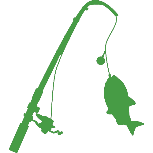 Fishing in Hungary - Danub River and RSD branch