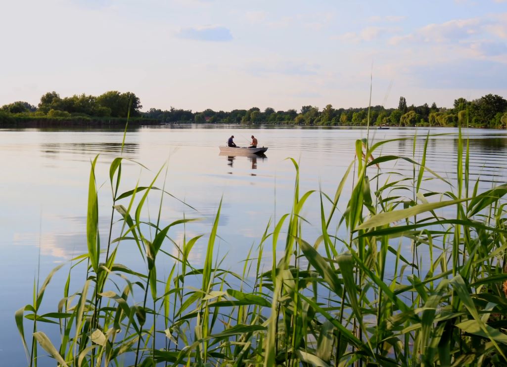 fishing boat and fishing cabin rentals in hungary - Domsod Holiday fishing boat and fishing cabin rentals in hungary - Domsod Holiday