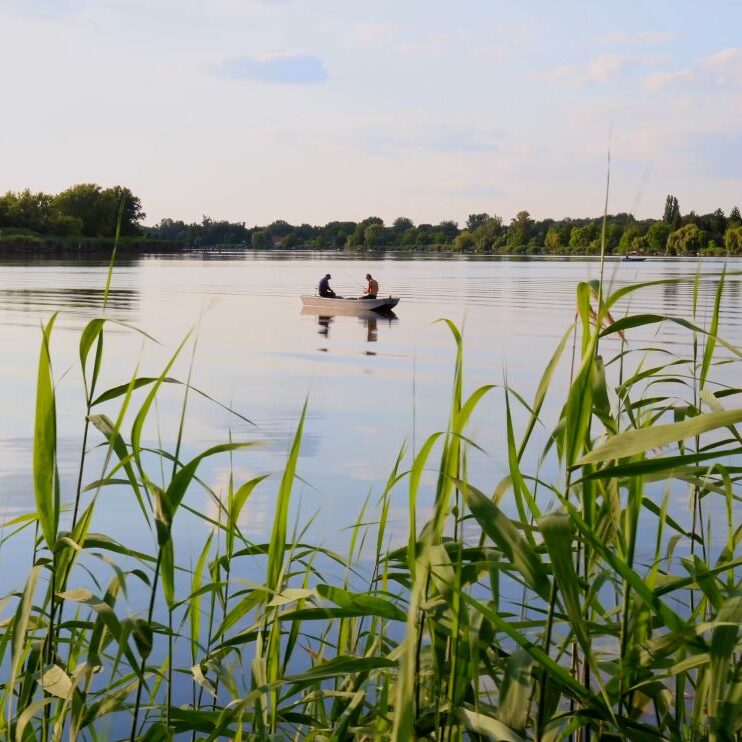 KÖZVETLEN VÍZPARTI SZÁLLÁSHELY